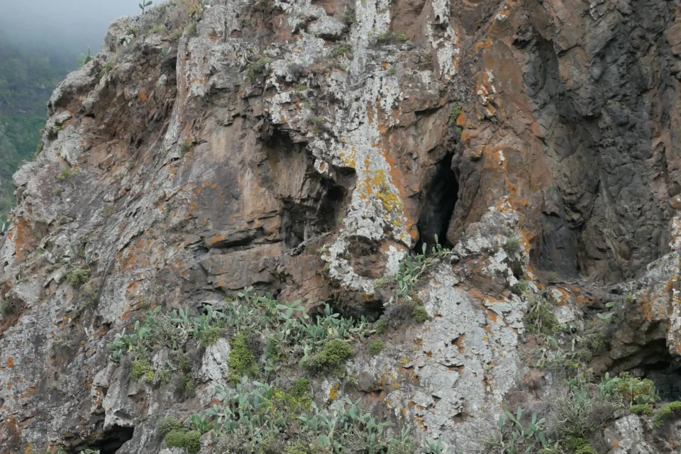 P1010321 960x640